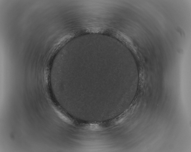 X0000113160114200909181819