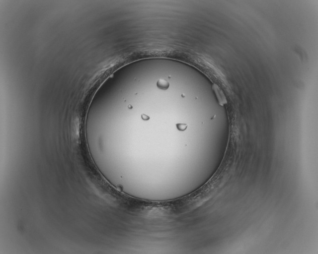 X0000113160115200909181819