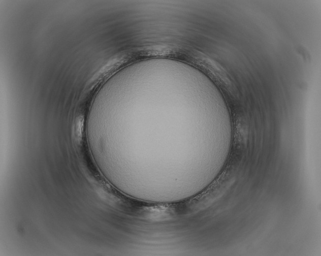 X0000113160118200909181819