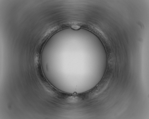 X0000113160119200909181819