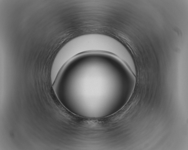 X0000113160121200909181819