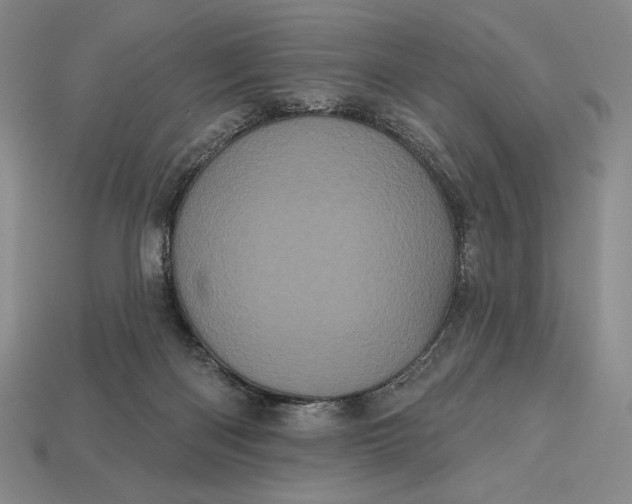 X0000113160122200909181819