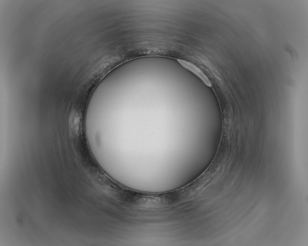 X0000113160123200909181819