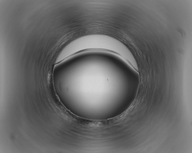 X0000113160124200909181819