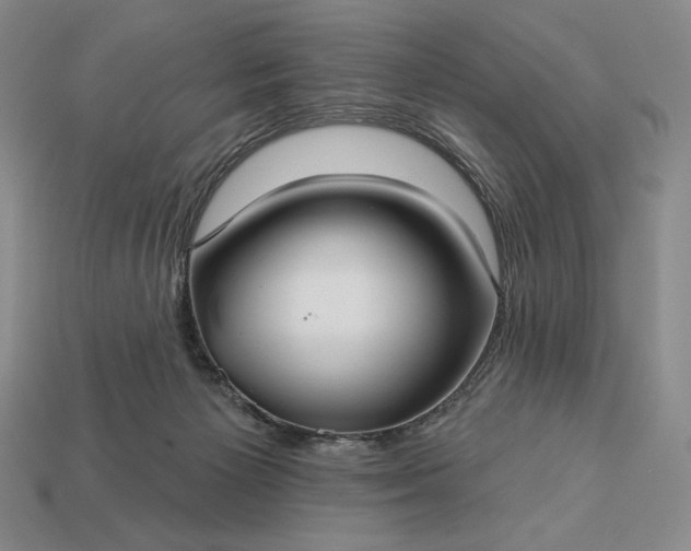 X0000113160125200909181819