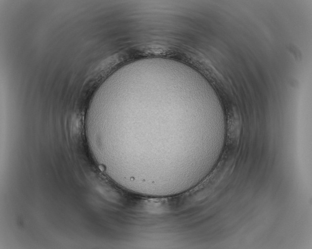 X0000113160126200909181819