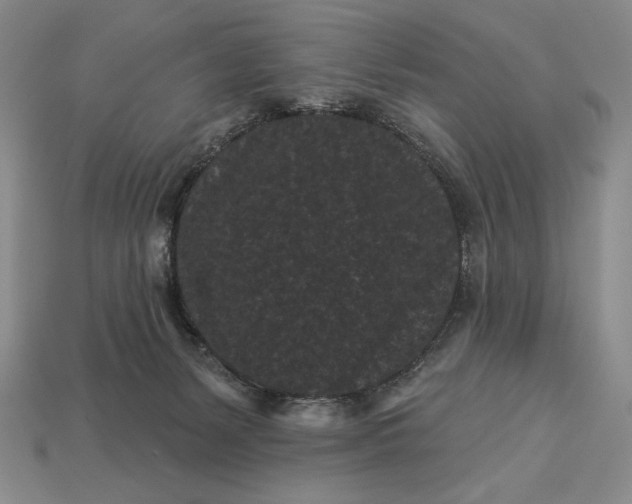 X0000113160127200909181819