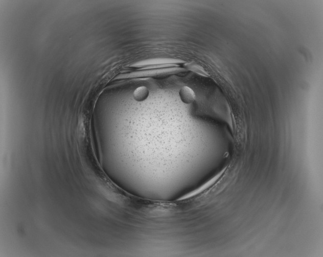 X0000113160128200909181819