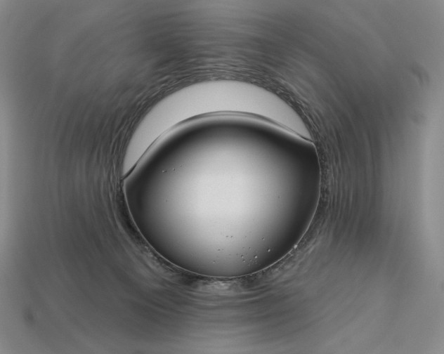 X0000113160129200909181819