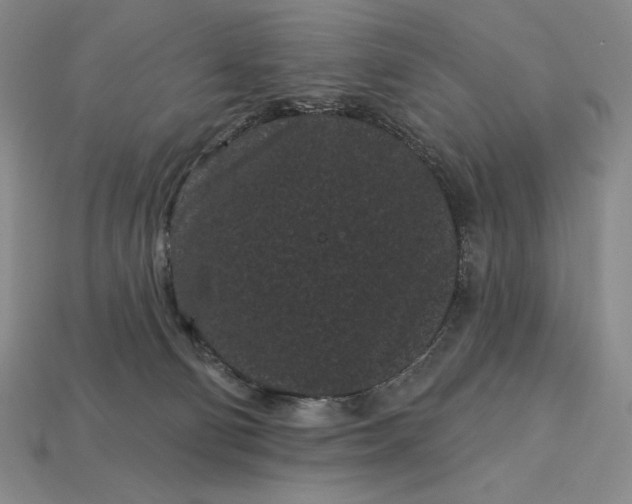 X0000113160130200909181819