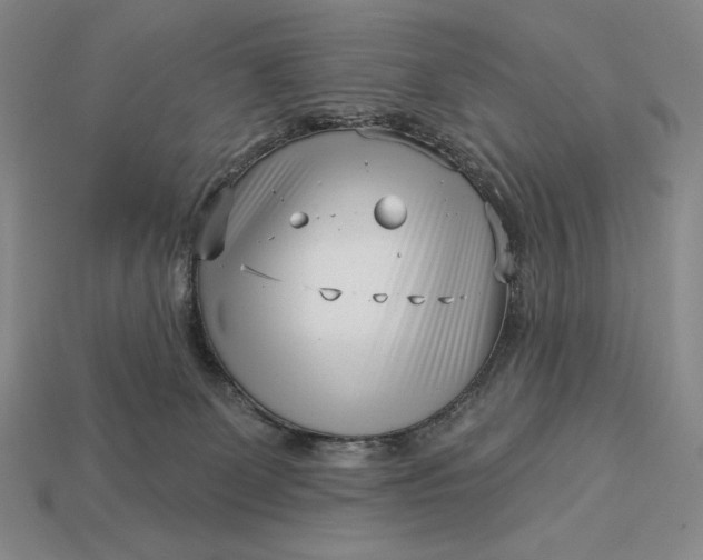 X0000113160131200909181819