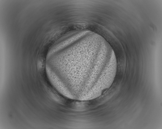 X0000113160134200909181819