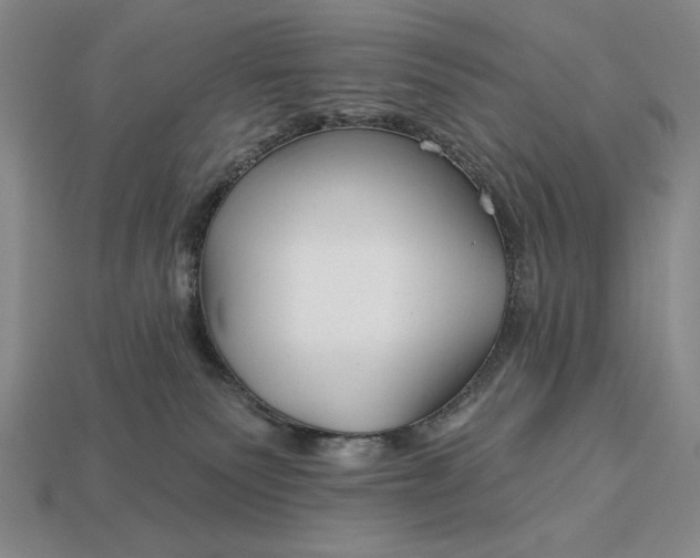 X0000113160135200909181819