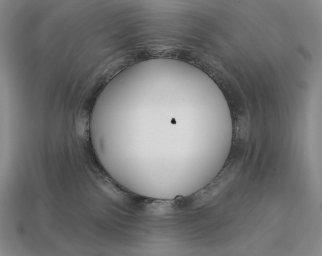 X0000113160138200909181819