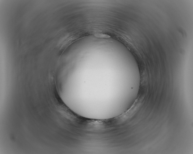 X0000113160140200909181819