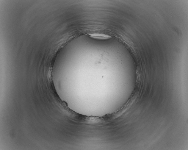 X0000113160141200909181819