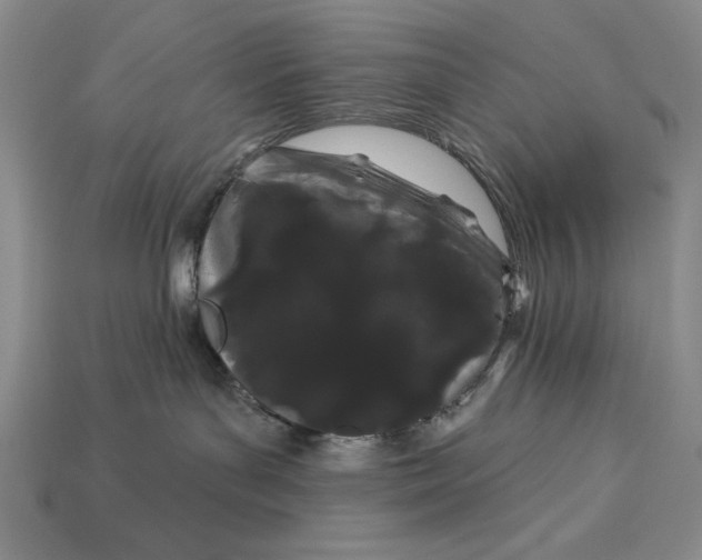 X0000113160143200909181819