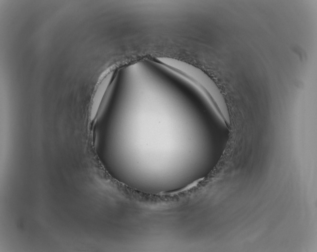 X0000113160144200909181819