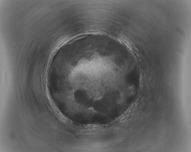 X0000113160145200909181818