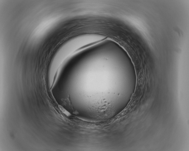 X0000113160146200909181818