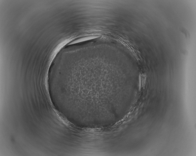 X0000113160147200909181818