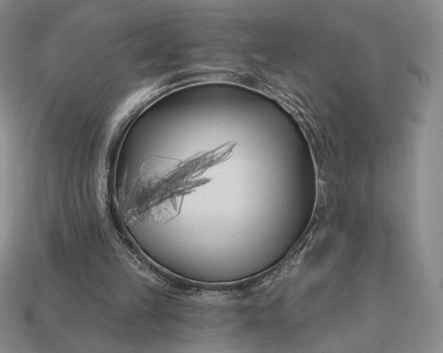 X0000113160149200909181818