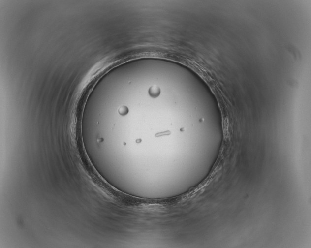 X0000113160150200909181818