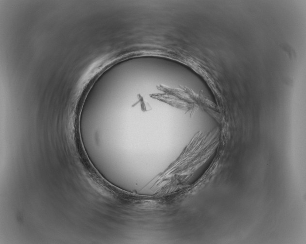 X0000113160151200909181818