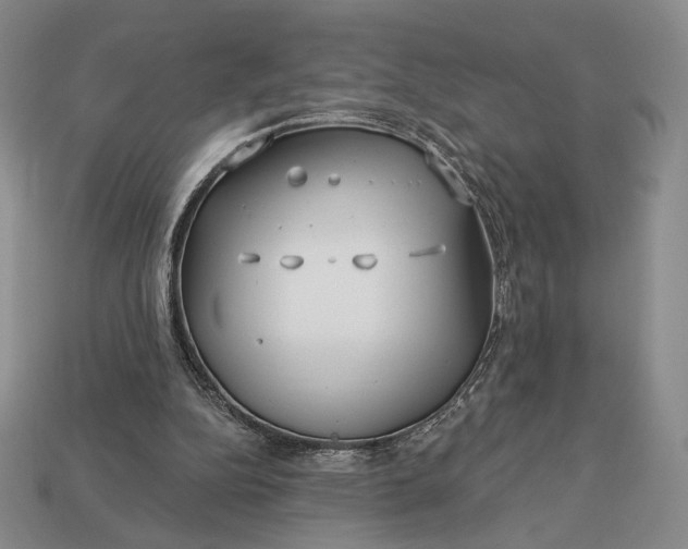 X0000113160152200909181818