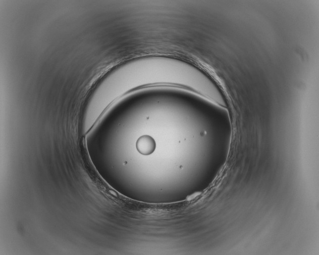 X0000113160154200909181818