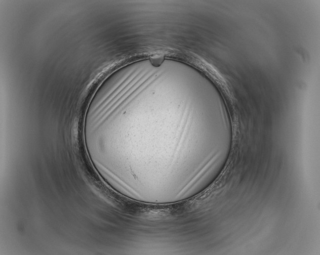 X0000113160155200909181818