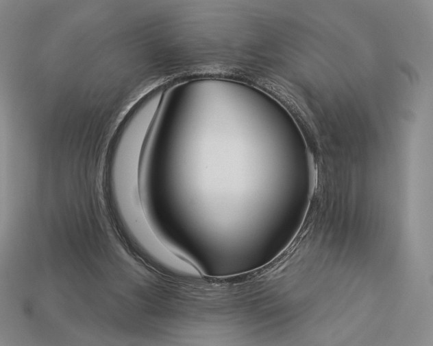 X0000113160156200909181818