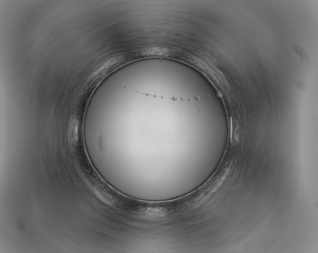 X0000113160157200909181818