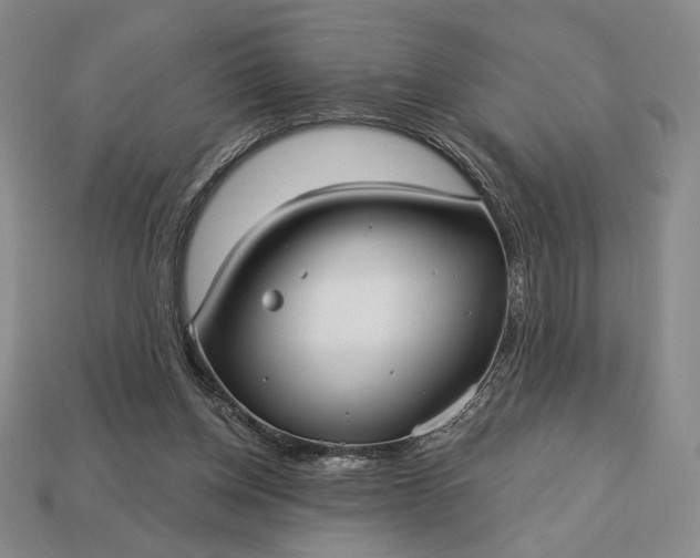 X0000113160158200909181818