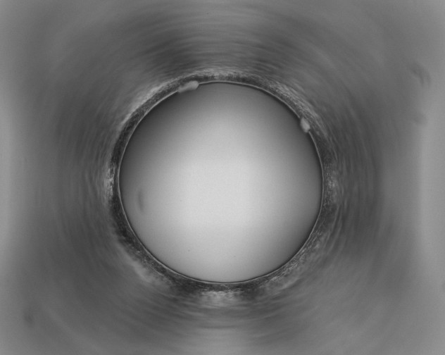 X0000113160160200909181818