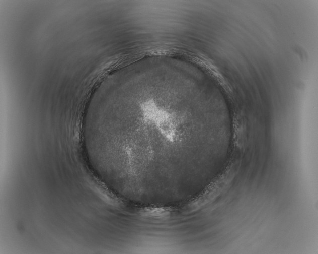 X0000113160161200909181818