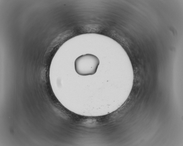 X0000113160162200909181818