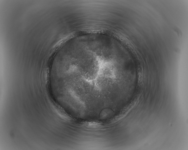 X0000113160165200909181818