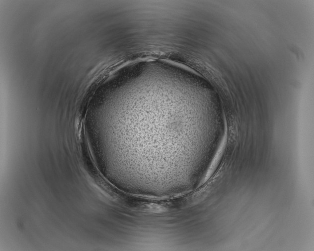 X0000113160166200909181818