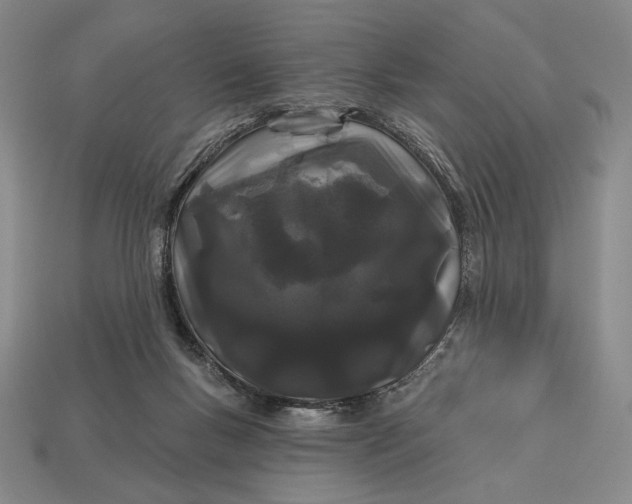 X0000113160167200909181818