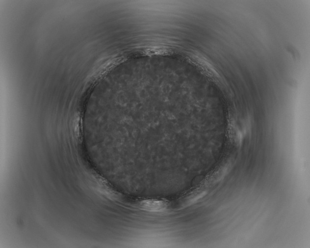 X0000113160169200909181818