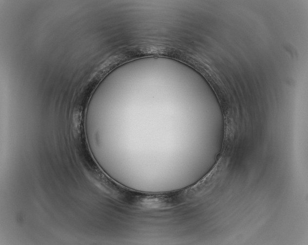 X0000113160171200909181818