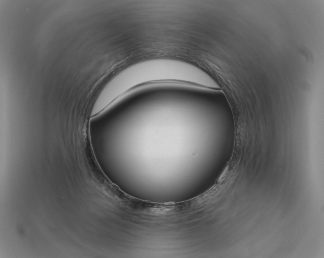 X0000113160172200909181818