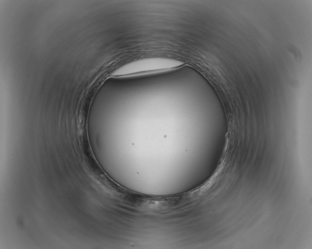 X0000113160174200909181818