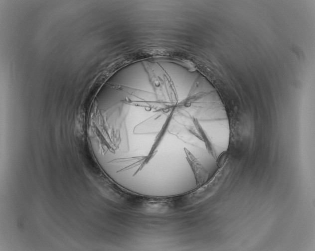 X0000113160175200909181818