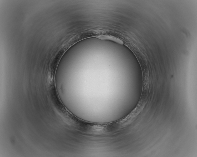 X0000113160176200909181818