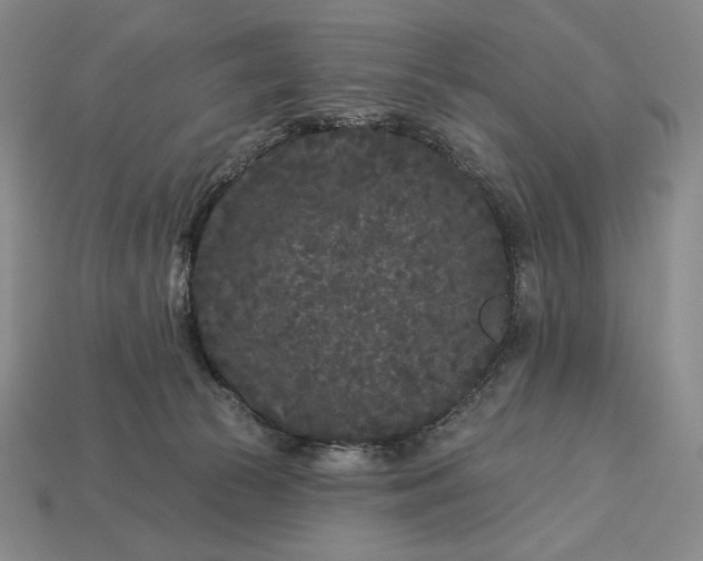 X0000113160177200909181818