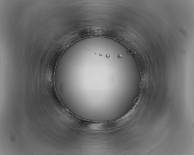 X0000113160178200909181818