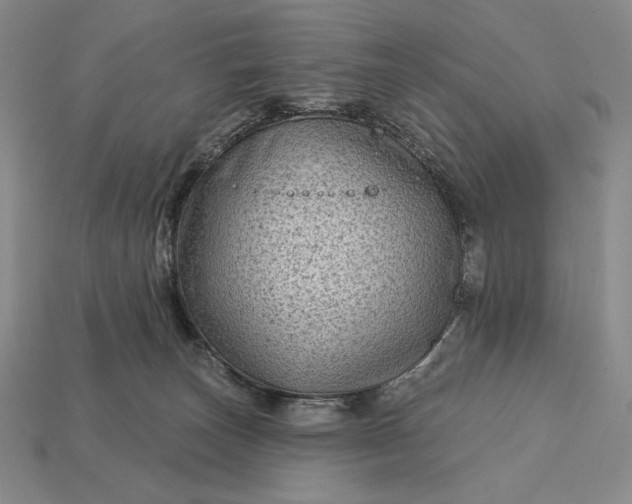 X0000113160179200909181818