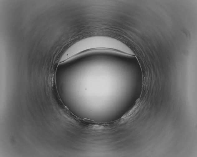 X0000113160180200909181818